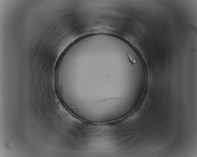 X0000103240941200809111553