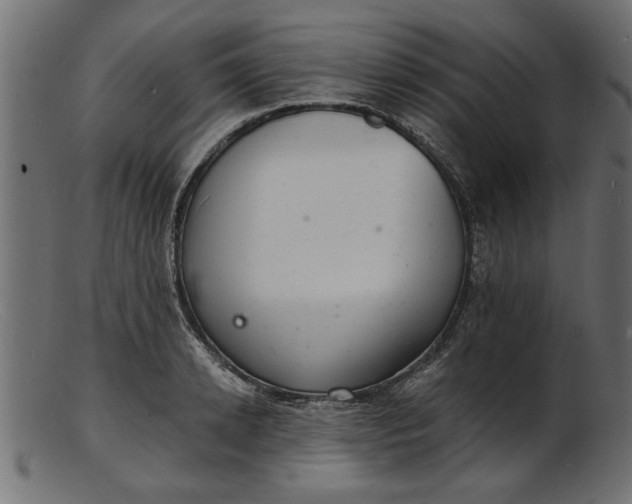 X0000103240942200809111553