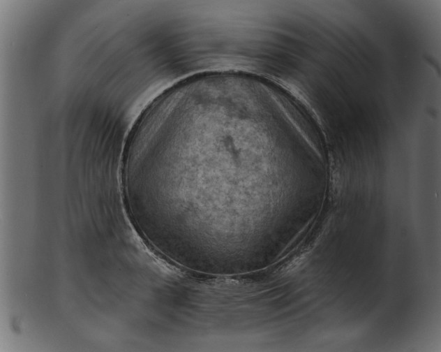 X0000103240943200809111553