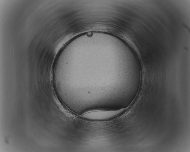 X0000103240944200809111553