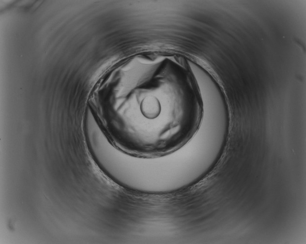 X0000103240946200809111553