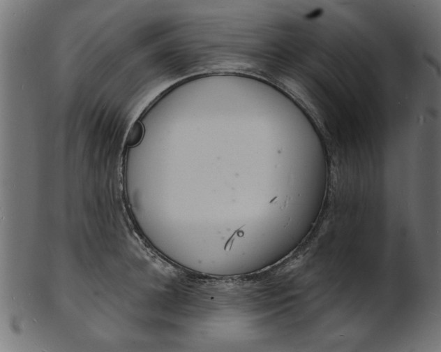 X0000103240948200809111553