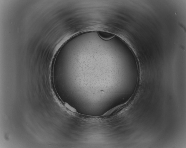 X0000103240949200809111553