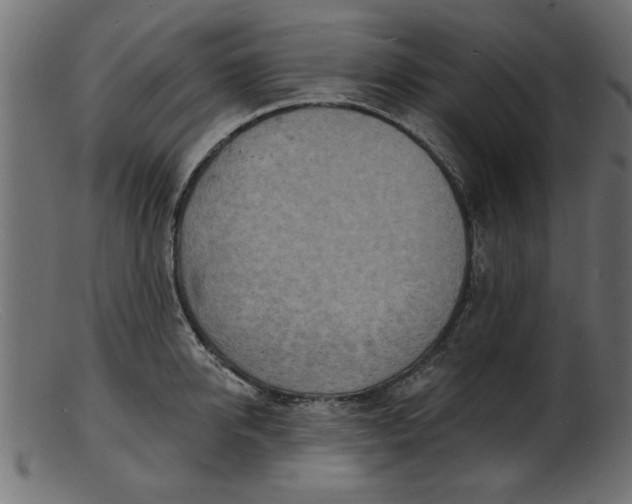 X0000103240950200809111553