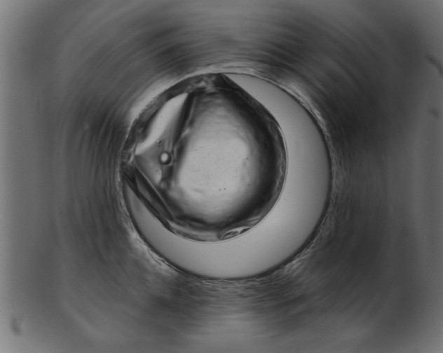 X0000103240952200809111553