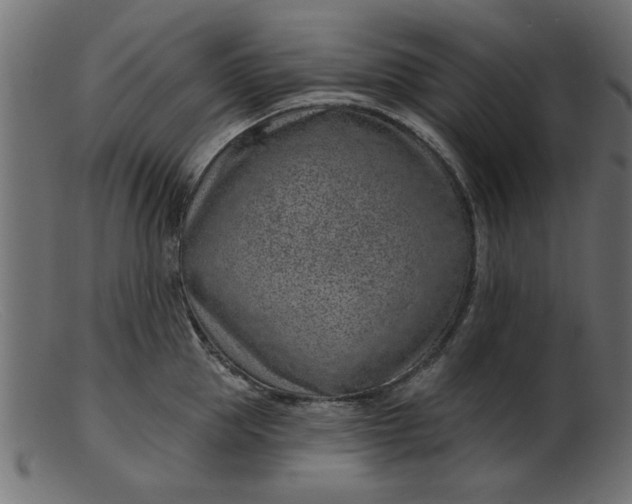 X0000103240953200809111553