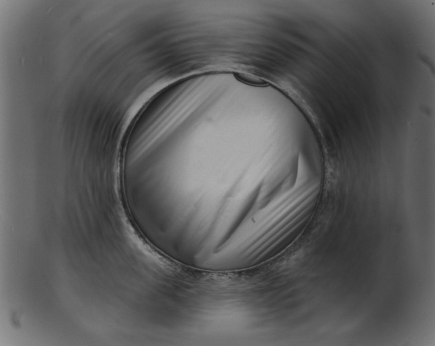 X0000103240955200809111553