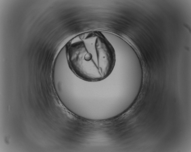 X0000103240956200809111553