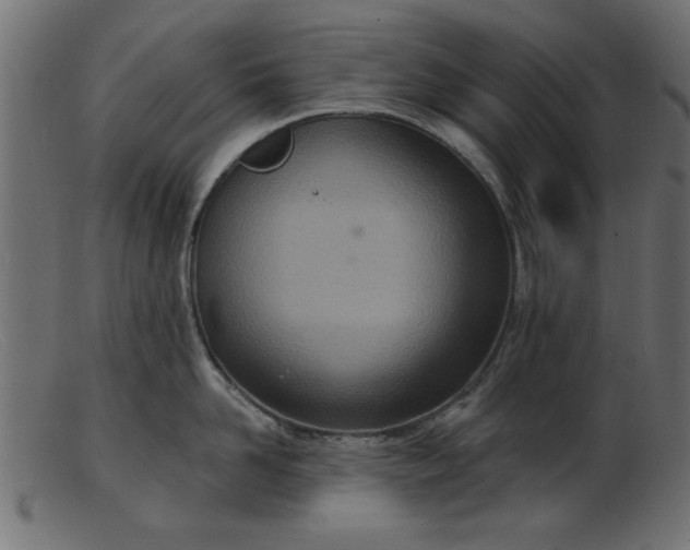 X0000103240958200809111553