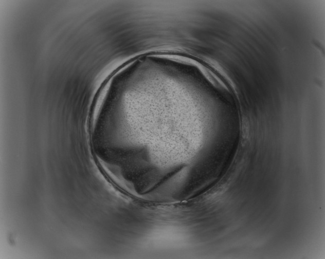 X0000103240959200809111553