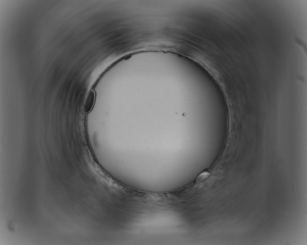 X0000103240960200809111553