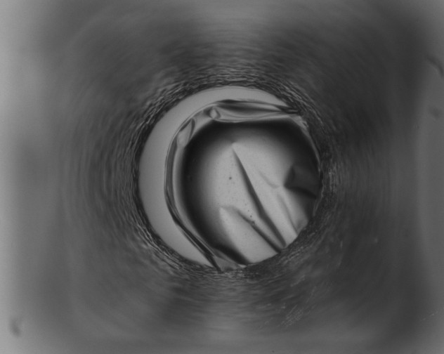 X0000103240961200809111553