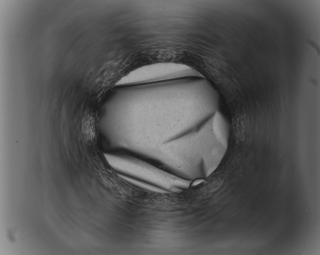 X0000103240962200809111553