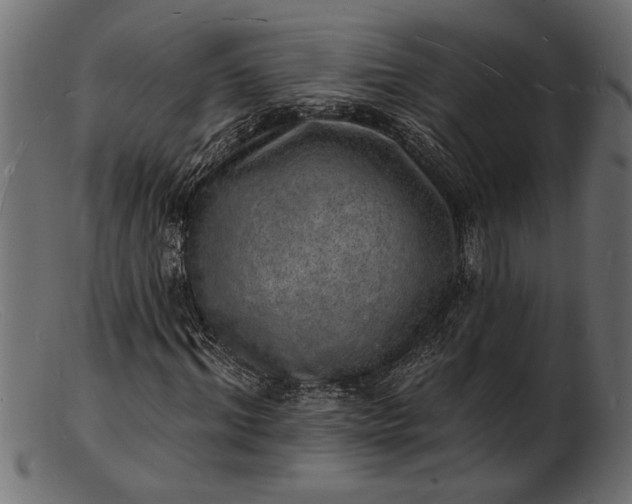 X0000103240964200809111553