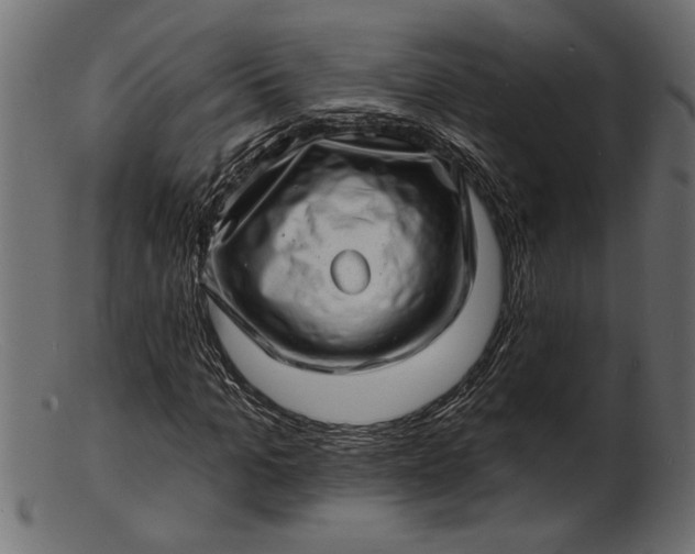 X0000103240965200809111553