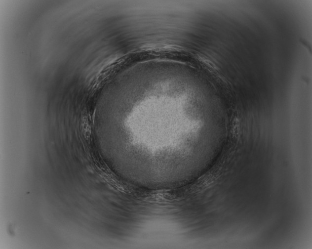 X0000103240966200809111553