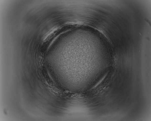 X0000103240967200809111553