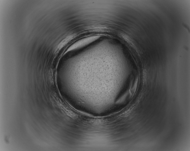 X0000103240970200809111553