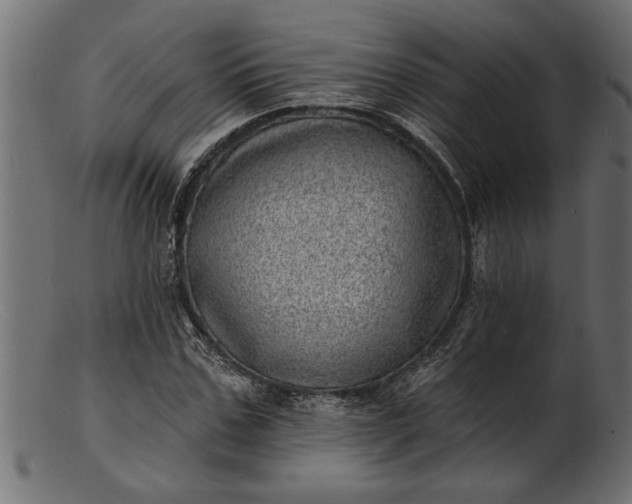 X0000103240971200809111553