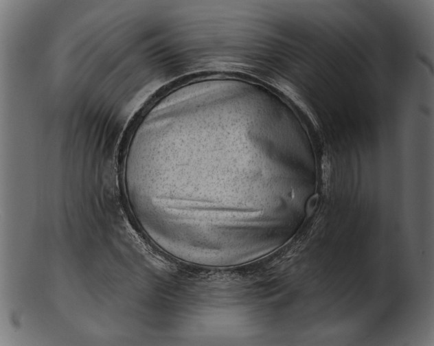 X0000103240972200809111553