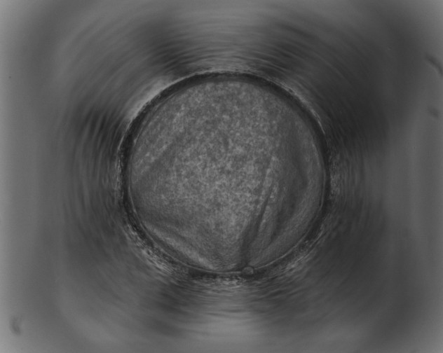 X0000103240975200809111553