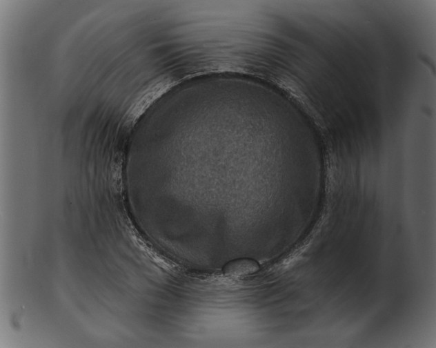 X0000103240977200809111553