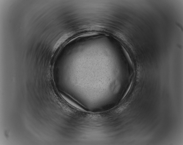 X0000103240978200809111553