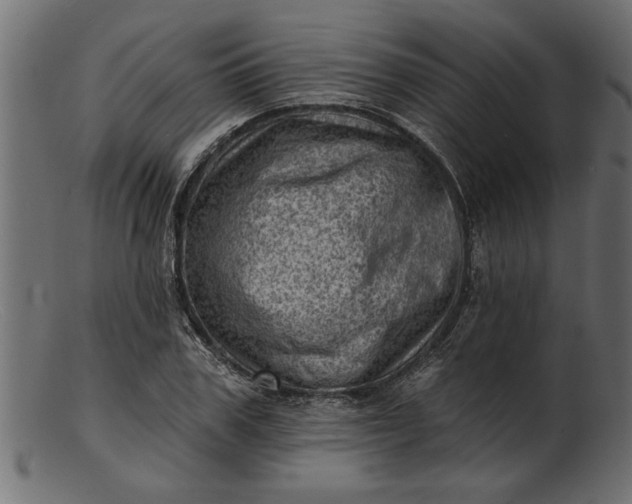 X0000103240979200809111553