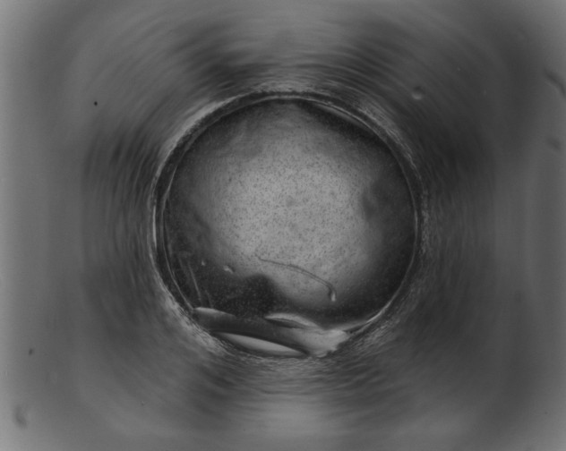 X0000103240984200809111552