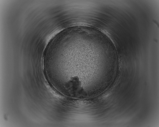 X0000103240987200809111552