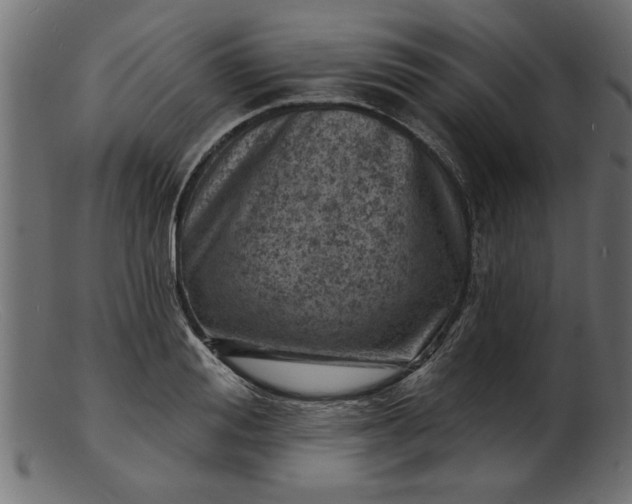 X0000103240988200809111552