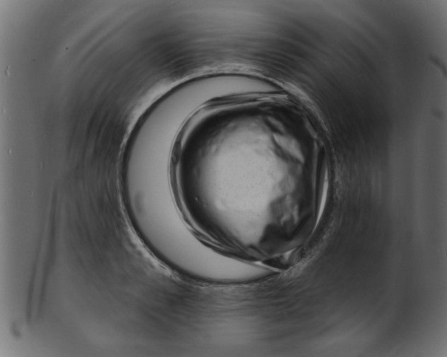 X0000103240989200809111552