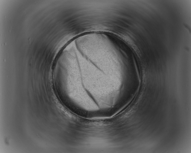 X0000103240990200809111552