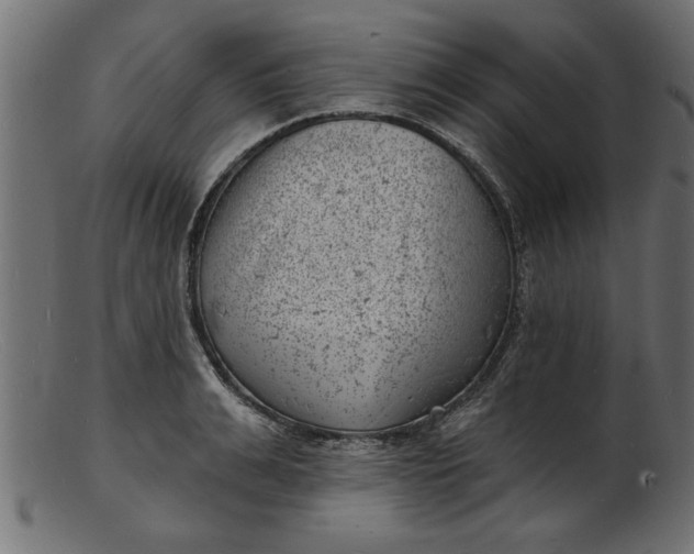 X0000103240991200809111552