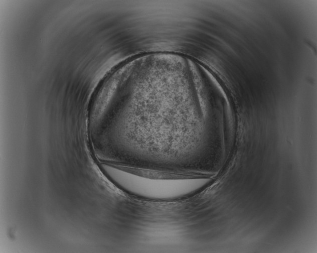 X0000103240992200809111552