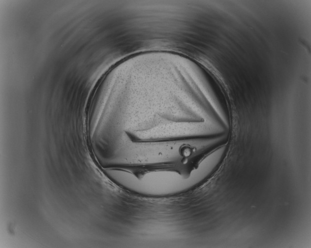 X0000103240996200809111552