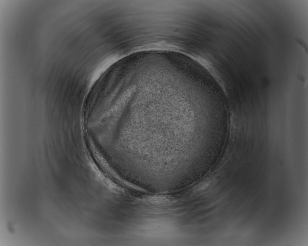 X0000103240998200809111552