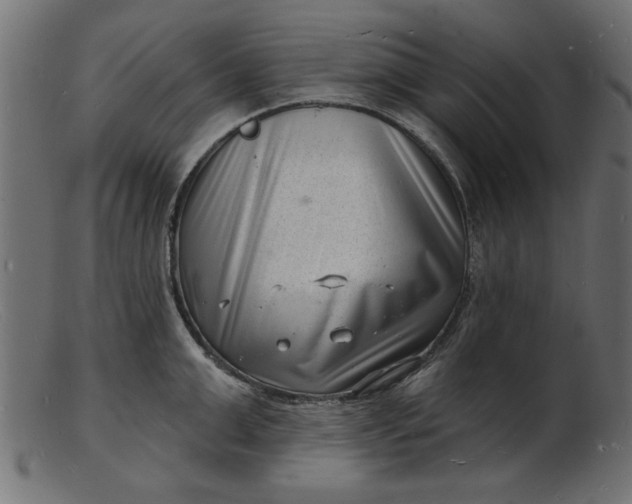 X0000103240999200809111552