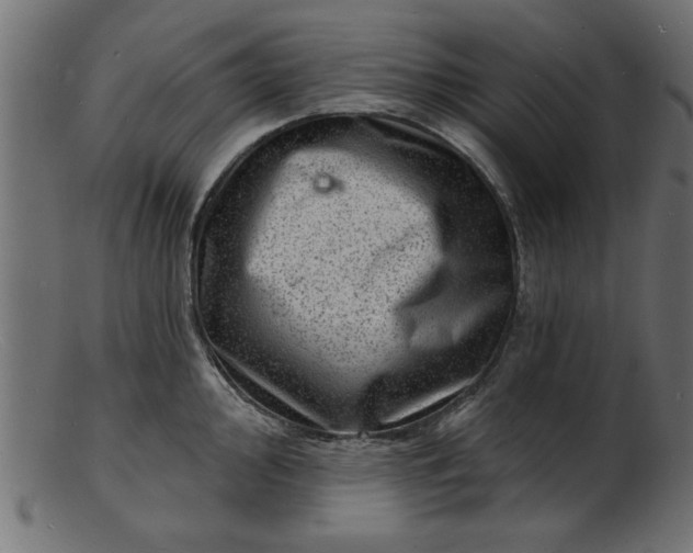 X0000103241000200809111552