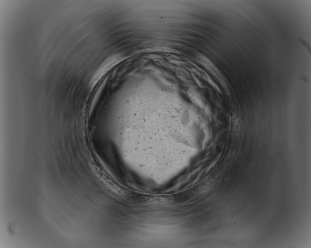 X0000103241002200809111552