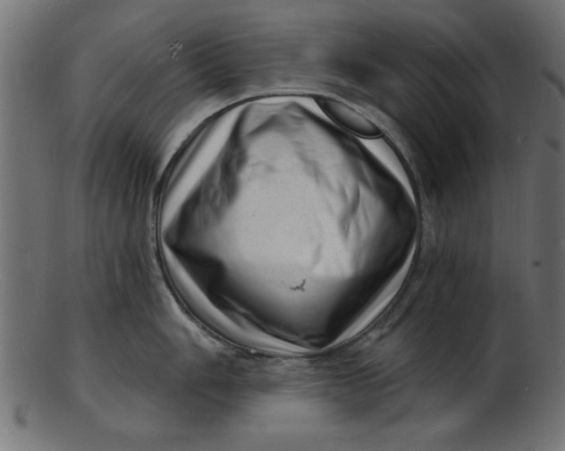 X0000103241006200809111552