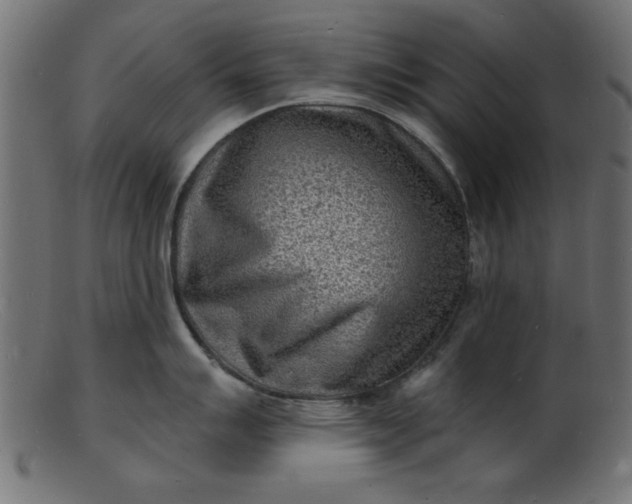 X0000103241007200809111552