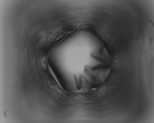 X0000103241010200809111551