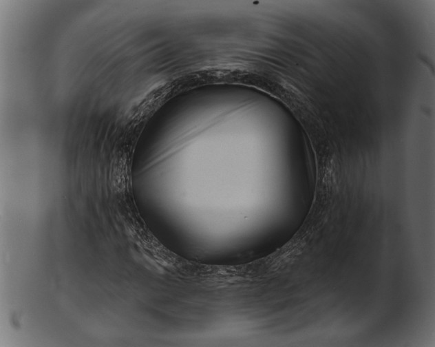 X0000103241014200809111551