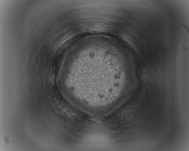 X0000103241015200809111551