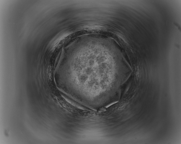 X0000103241016200809111551