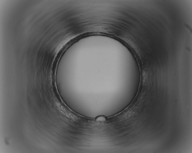 X0000103241020200809111551