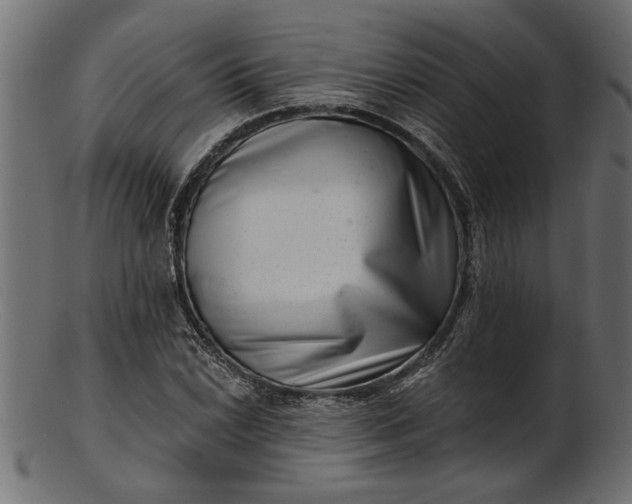 X0000103241022200809111551