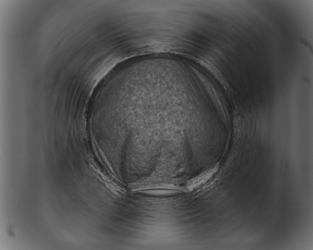 X0000103241023200809111551