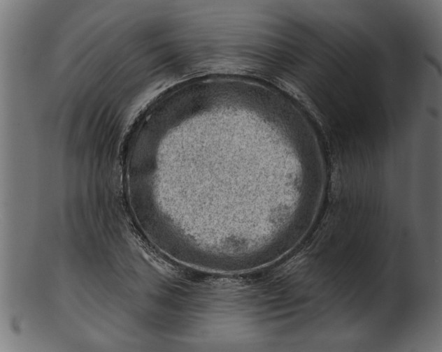 X0000103241027200809111552